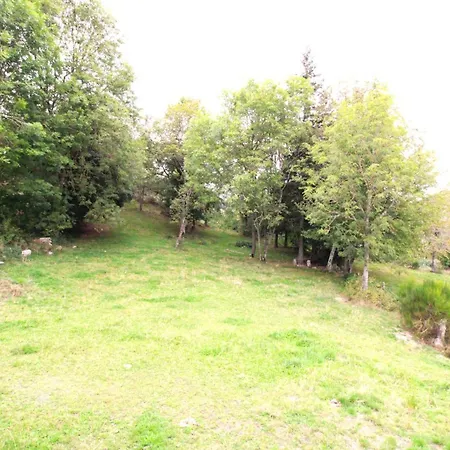 Holiday home Maison De Caractere Renovee, 4 Ch, 9 Pers, Jardin, Cheminee, Animaux Acceptes, 15320 Val D'arcomie - Fr-1-742-363 Arcomie